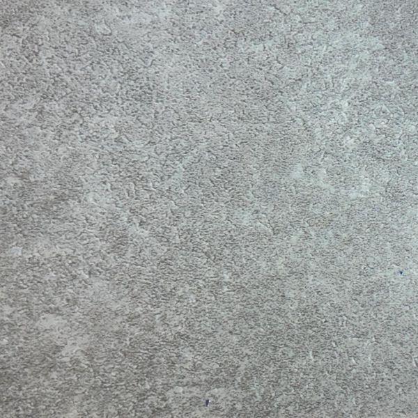 創意生活系列-雷吉納