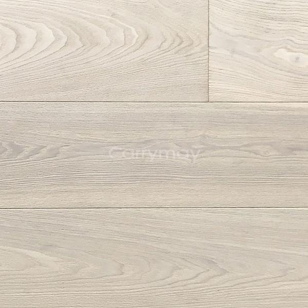 【G-power】歐洲白腊木