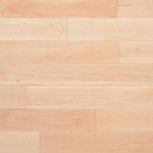 【經典普拉斯系列】向日葵楓木