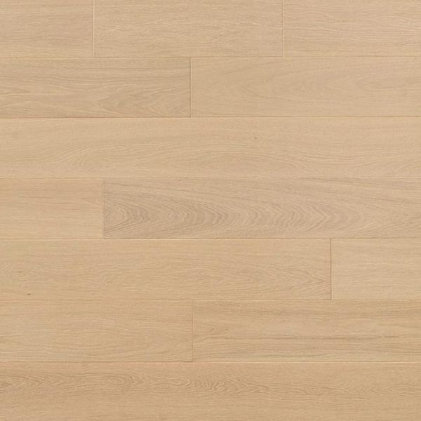 【樂活台北】晨光橡木