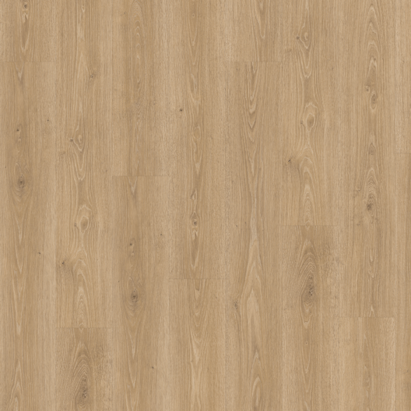 EDF195D 卡姆登自然橡木