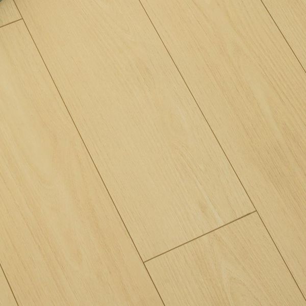 【超耐磨地板】提摩