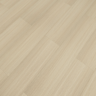 HOTON-IWF-同步4V-巴斯卡1