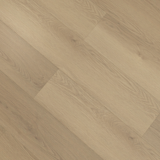 HOTON-IWF-同步4V-迪卡斯-1