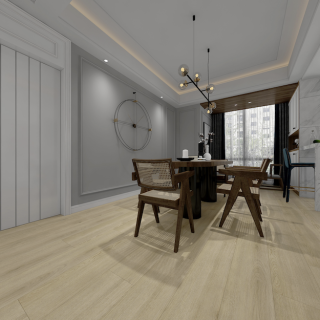 HOTON-iSPC-石塑-012-2