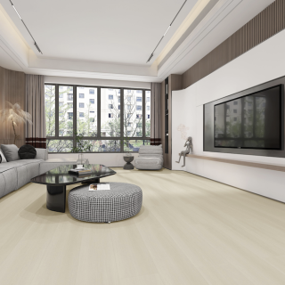 HOTON-iSPC-十全十美6.5-031-3