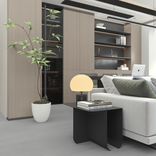 HOTON-iSPC-十全十美9mm-902-2