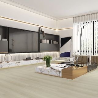 HOTON-iSPC-十全十美6.5-034-1