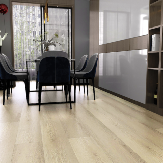 HOTON-IWF-同步4V-亜里士-2