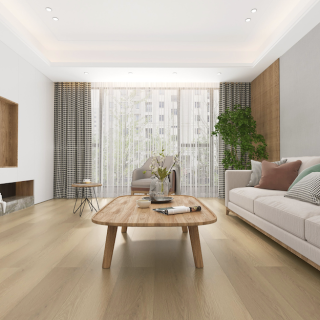 HOTON-IWF-同步4V-迪卡斯-5