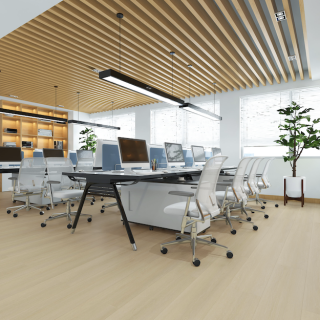 HOTON-iSPC-十全十美6.5-033-3