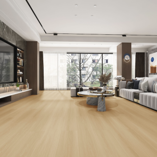 HOTON-iSPC-十全十美6.5-038-3