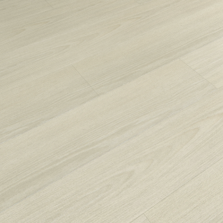 HOTON-iSPC-十全十美9mm-901-5