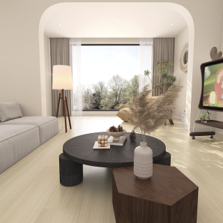 HOTON-IWF-同步4V-巴斯卡4