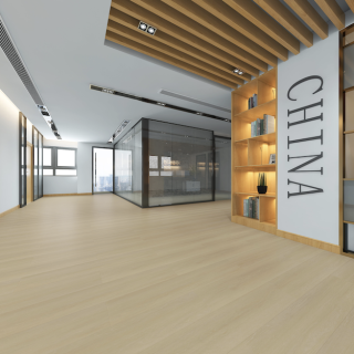 HOTON-iSPC-十全十美6.5-033-2