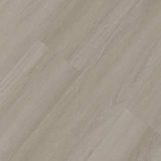 HOTON-iSPC-十全十美6.5-032-1