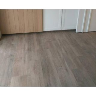 ST滅菌-ST13 墨淵2