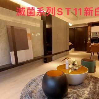 ST滅菌-ST11 新白淺5