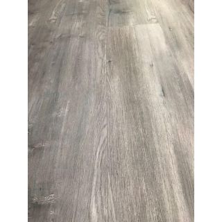 ST滅菌-ST13 墨淵4