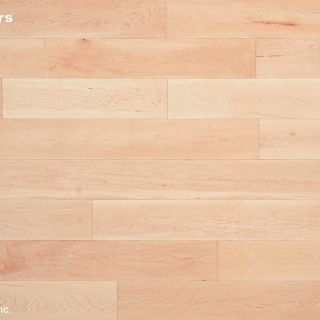 TC19021-NL-向日葵楓木