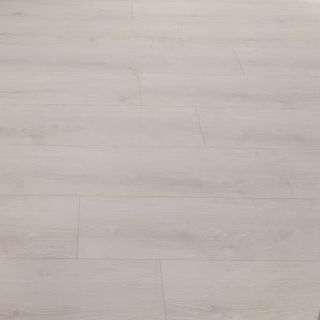 ST滅菌-ST11 新白淺4