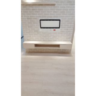 ST滅菌-ST11 新白淺3