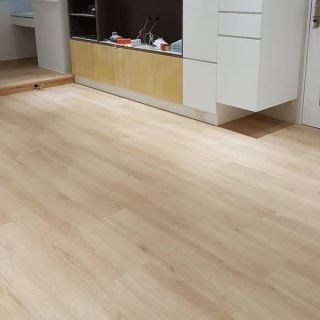 綠蒂雅-ST滅菌-ST04 疊風6