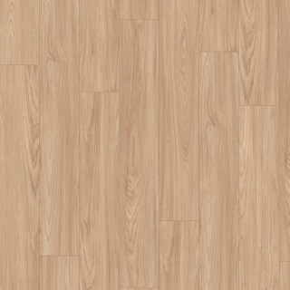 EGGER-Nature sense-EL1242 德雷頓相思木-2