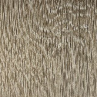 熊賀-SPC-6.5-S505-2