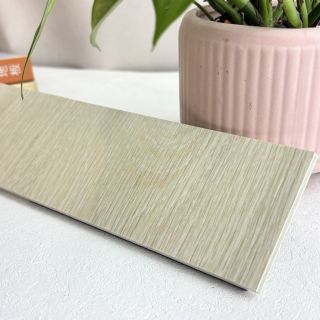 熊賀-SPC-6.5-S501-1