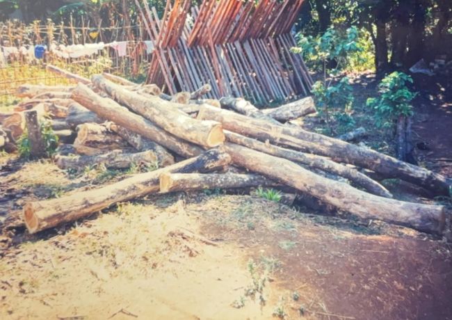 木藝傳承百年路：從日治檜木香到當代居家美學