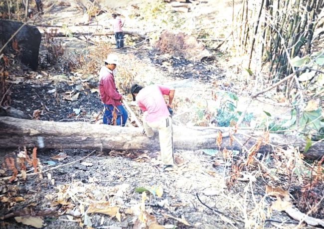 印尼｜來自蘇拉威西的柚木之旅