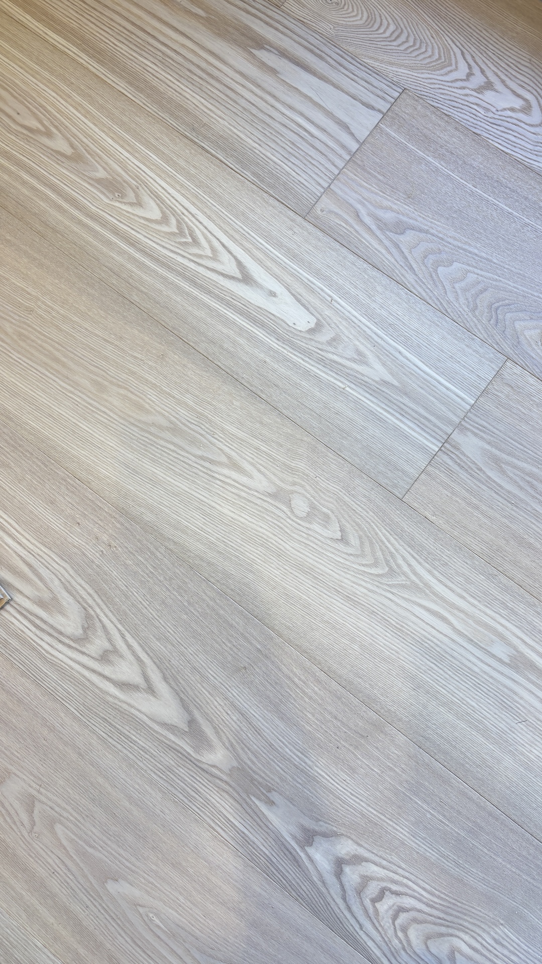 新竹-中悅帝苑-7