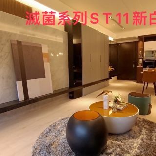 平鎮林宅-綠蒂雅-ST11-新白淺-1